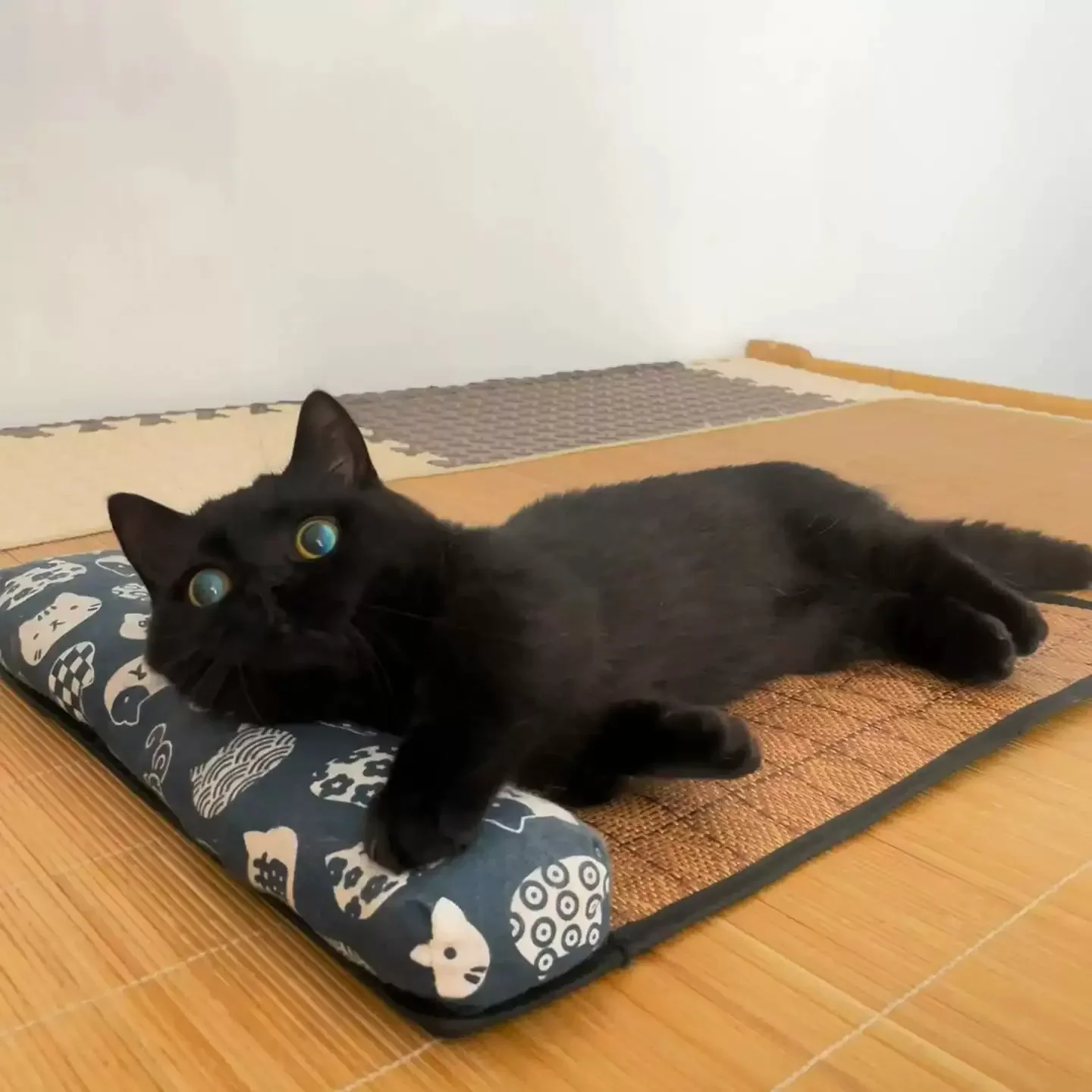 Tapete de Resfriamento para Gatos e Cães de Rattan e Tecido - Imagem 3