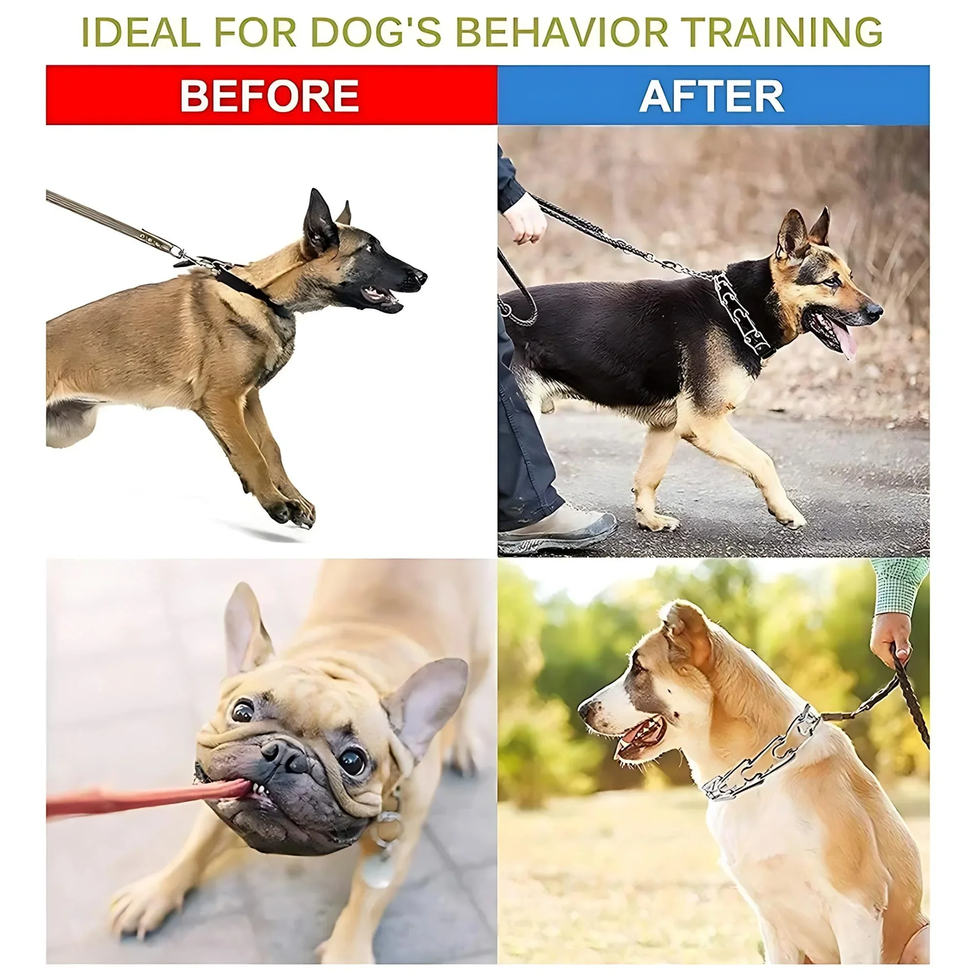 Coleira de Treinamento para Cães Ajustável com Fivela de Liberação Rápida - Imagem 5