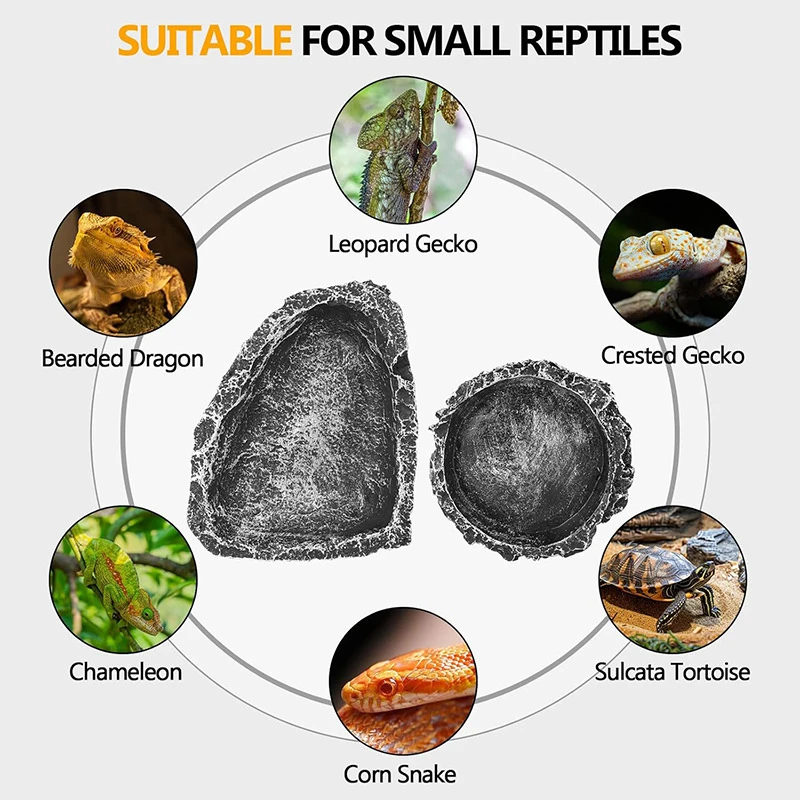 Tigela para Répteis de Resina Imitação de Pedra para Alimentação - Imagem 3