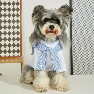 camiseta para cães pequenos e médios