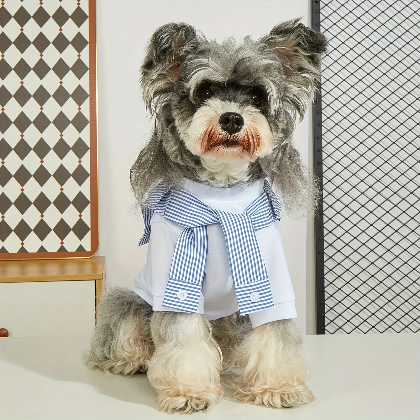 camiseta para cães pequenos e médios