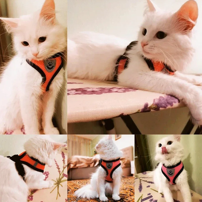 Coleira Peitoral para Cães e Gatos de Poliéster com Guia Ajustável - Imagem 2