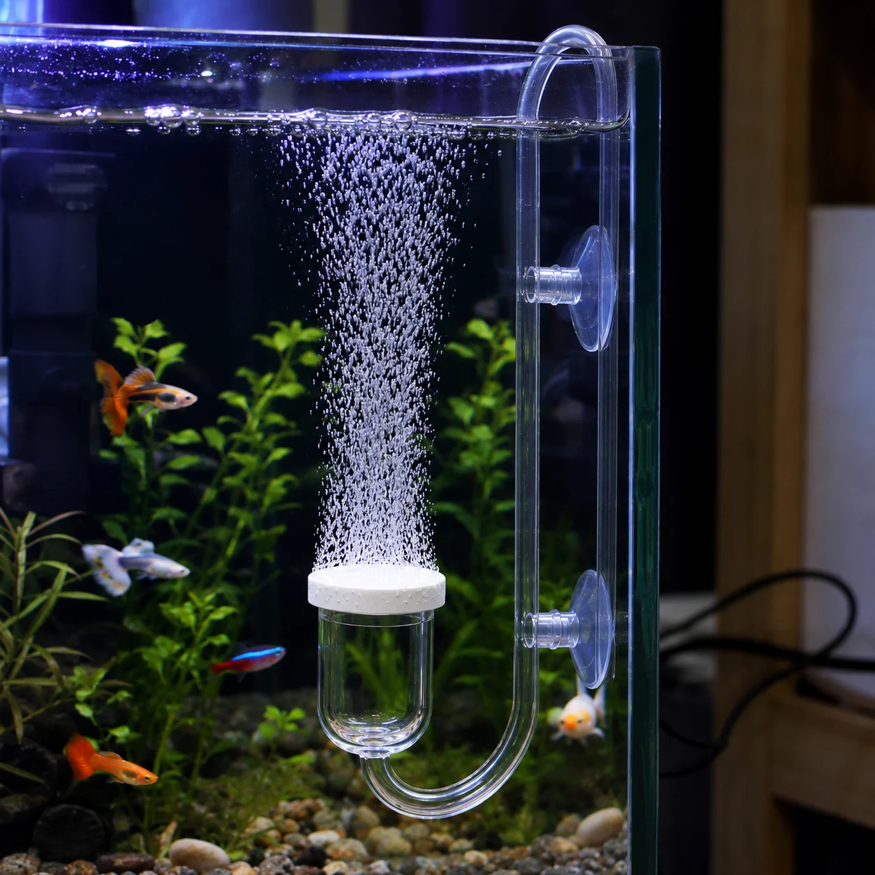 Difusor de CO2 para Aquário com Ventosa e Válvula de Controle - Imagem 4