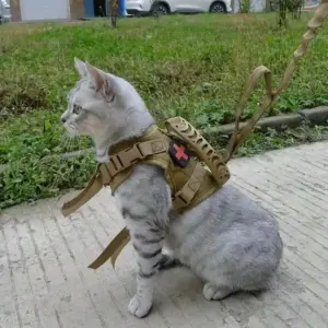 colete ajustável para gatos