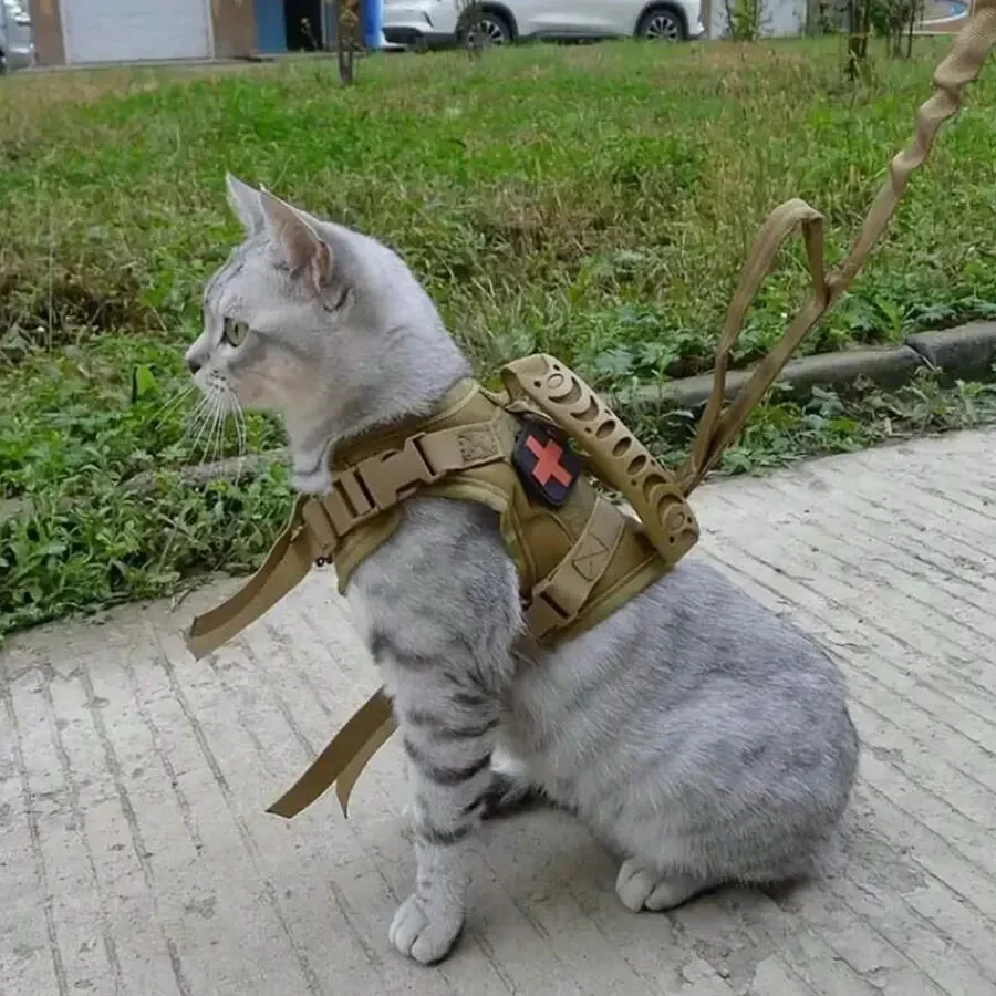 colete ajustável para gatos