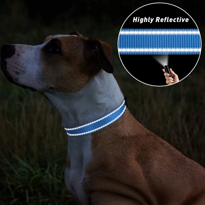 Coleira de Nylon Refletiva para Cães Pequenos e Médios - Imagem 2
