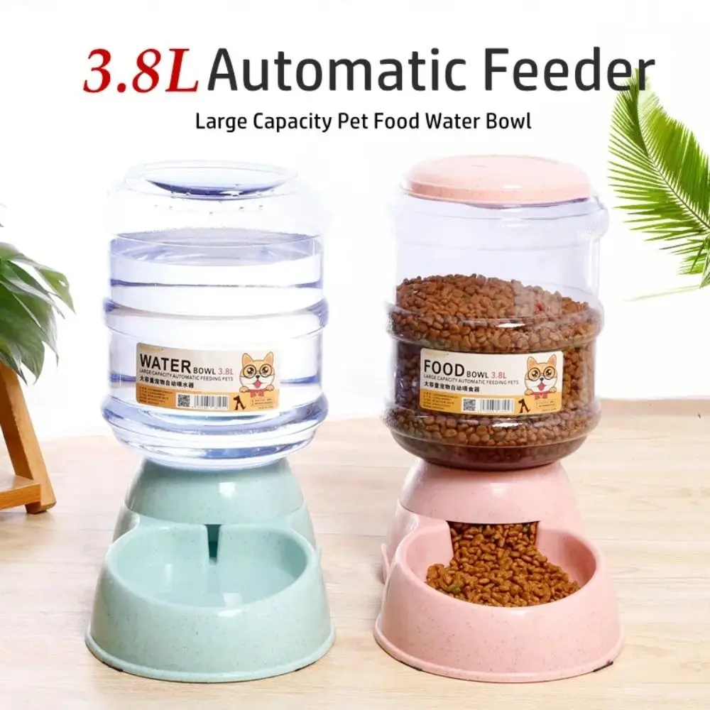 dispensador de comida para cães e gatos