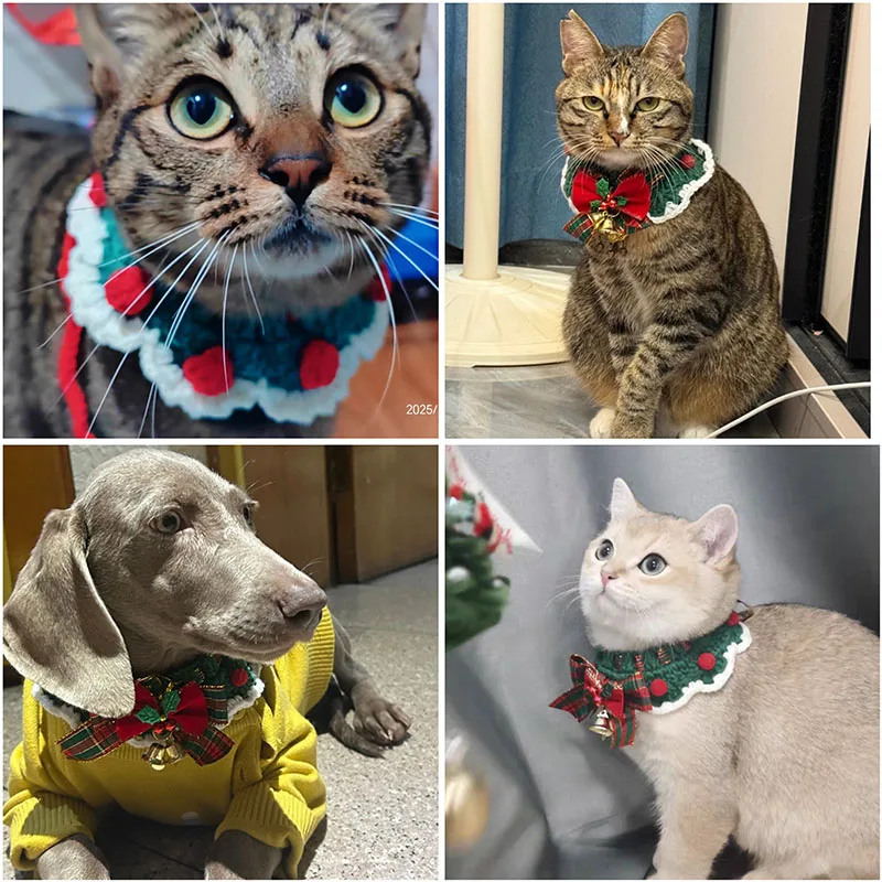 Colar Gravata Borboleta para Gatos e Cães Pequenos de Crochê - Imagem 5
