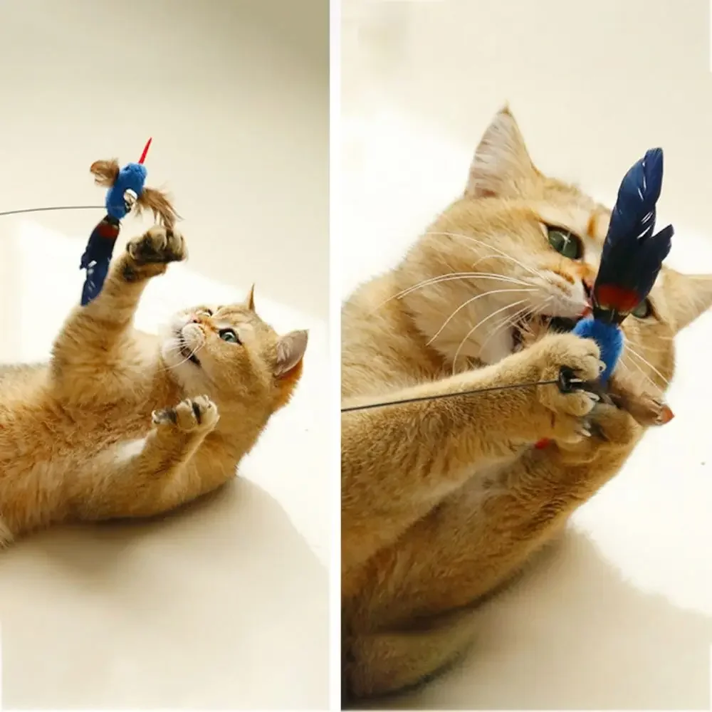Brinquedo para Gatos com Pena e Ventosa para Fixar - Imagem 3
