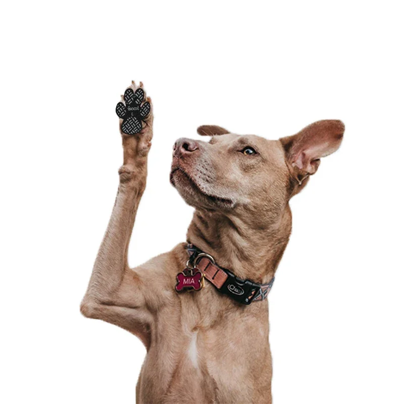 adesivos protetores de patas para cães antiderrapante