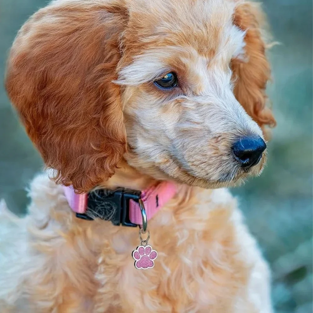 Etiqueta de Identificação para Cães e Gatos Gravada Personalizável - Imagem 4