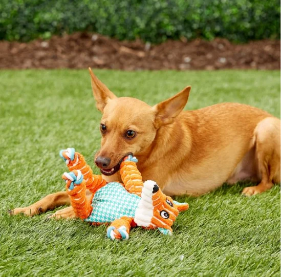 Brinquedo para Cães Kong Floppy Nós Raposa com Corda e Apito - Imagem 5
