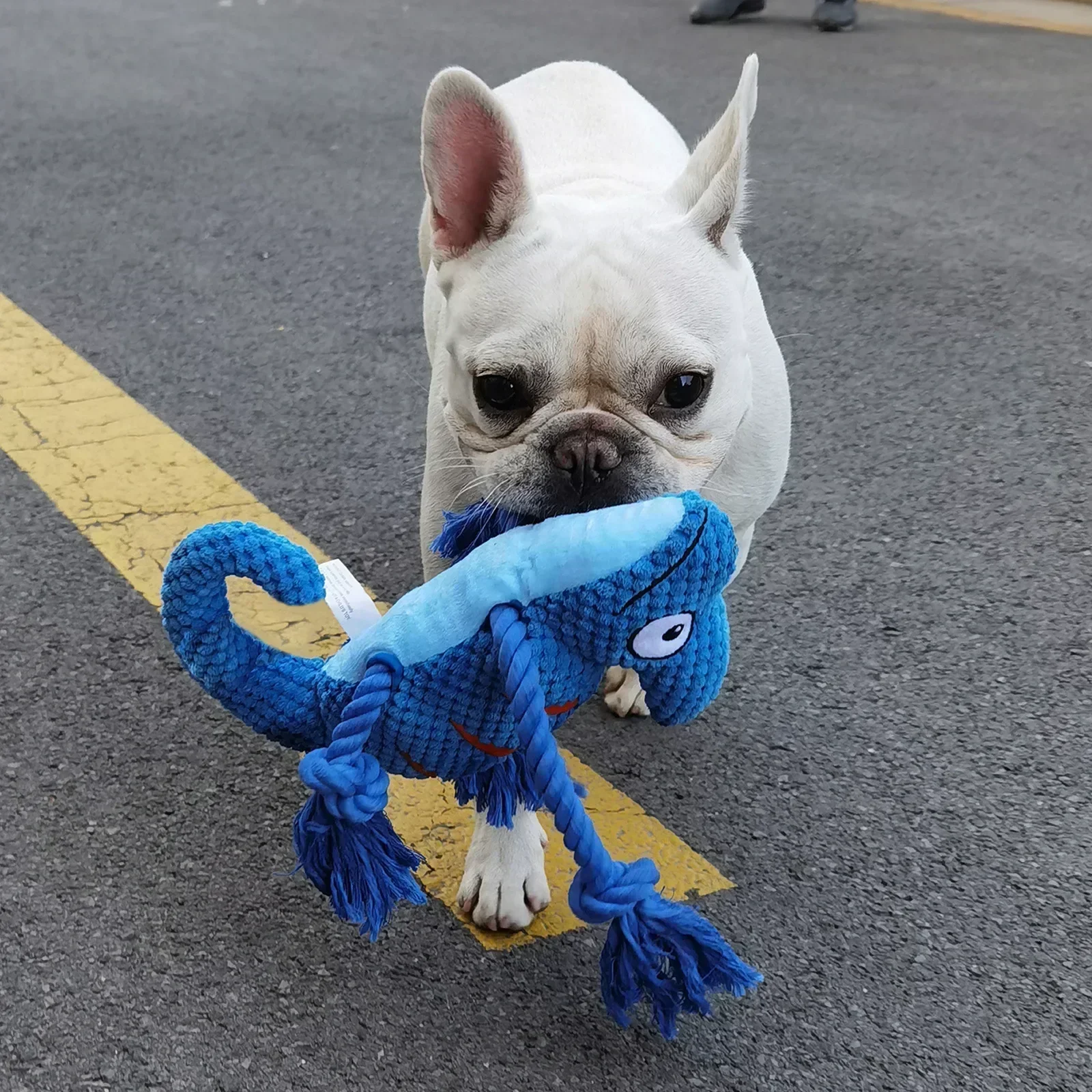 Brinquedo de Pelúcia para Cães Camaleão com Squeaker - Imagem 2
