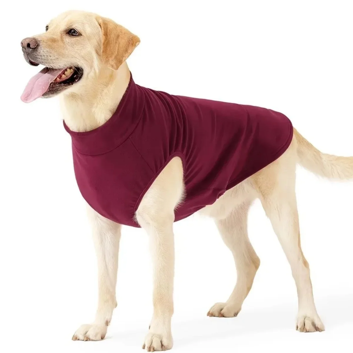 Suéter para Cães Lavável em Máquina para Cães de Pequeno a Grande Porte - Imagem 5