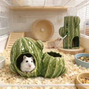 casa de cerâmica cacto para hamster