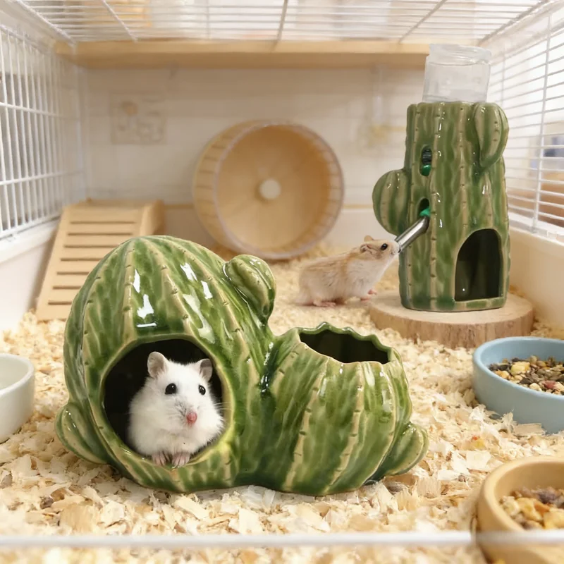 casa de cerâmica cacto para hamster