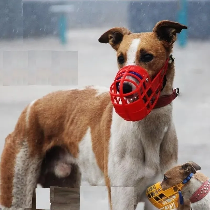 Focinheira Ajustável para Cães de Plástico Leve e Confortável - Imagem 4