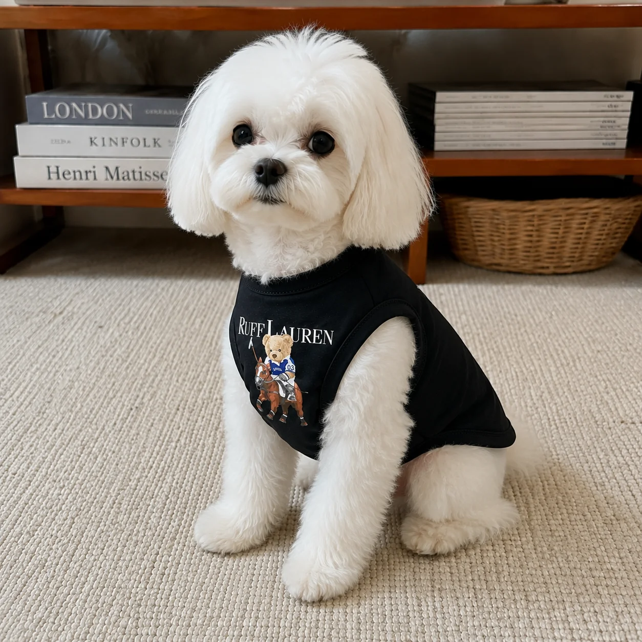 Roupa para Cães Ruff Primavera Verão para Cães Pequenos e Médios - Imagem 6