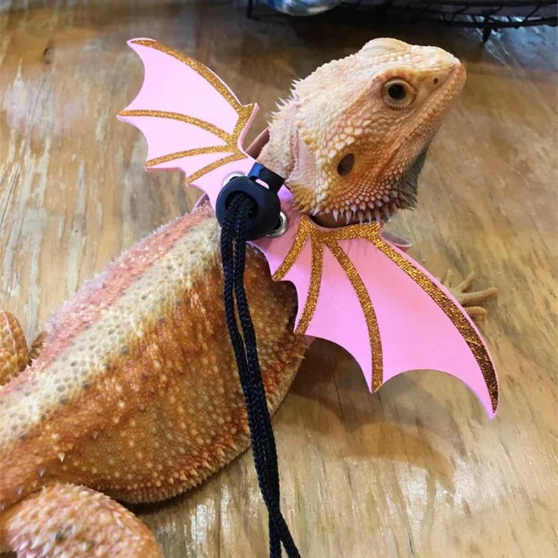 Coleira para Lagarto com Asas de Morcego, 3 Peças, Ajustável - Imagem 4