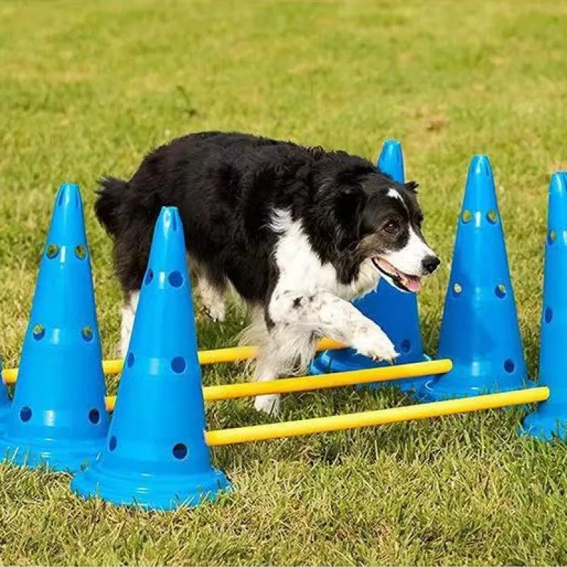 Obstáculo para Cães Treinamento de Agilidade - Imagem 5