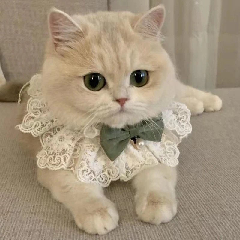 Coleira Babador para Gatos e Cães Pequenos de Renda Floral Ajustável - Imagem 2