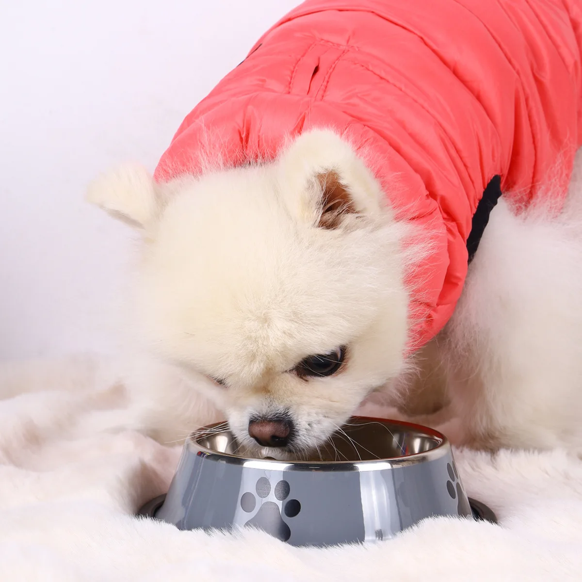 Tigela para Cães de Aço Inoxidável com Base Antiderrapante - Imagem 6