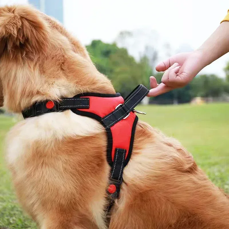Arnês para Cães Ajustável com Faixa Refletiva para Passeio - Imagem 2