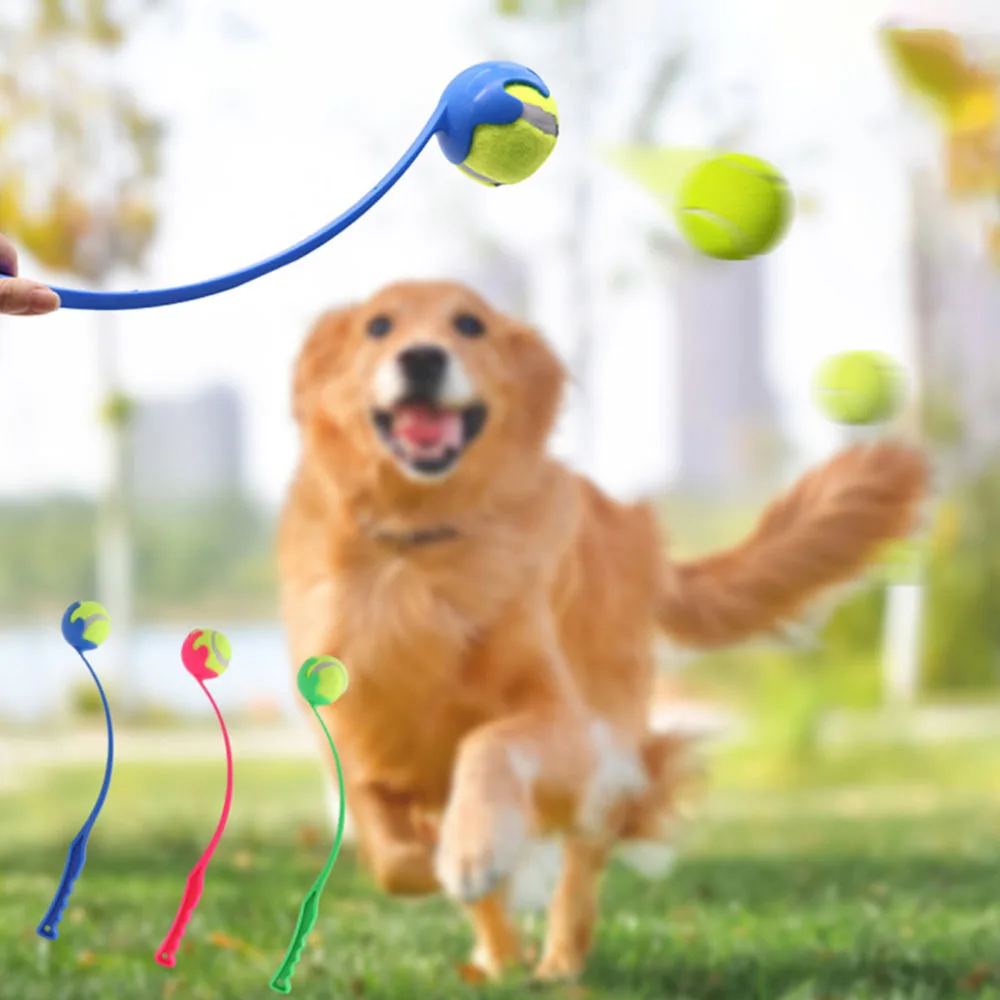 Vara Lançadora de Bola para Cães Brinquedo Interativo Azul - Imagem 2