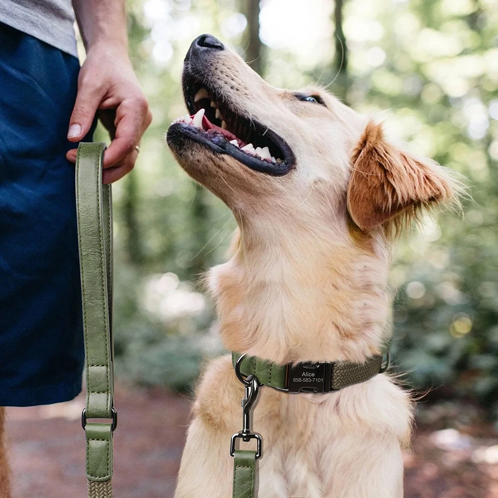Guia de Nylon para Cães de 1,5 m com Alça de Couro PU - Imagem 4