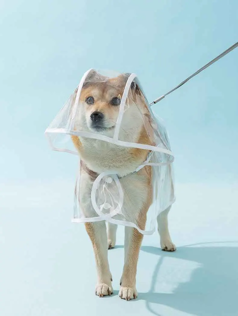 Capa de Chuva para Cães Transparente com Capuz Impermeável - Imagem 5