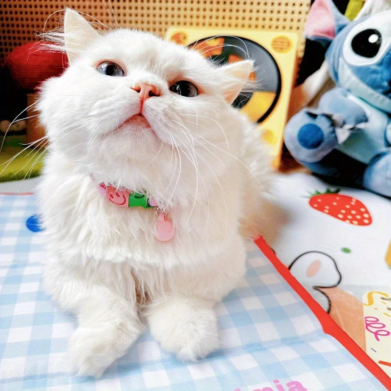 Coleira Elástica para Gatos com Bola Macaron - Imagem 3