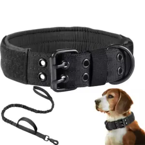 coleira tática para cães