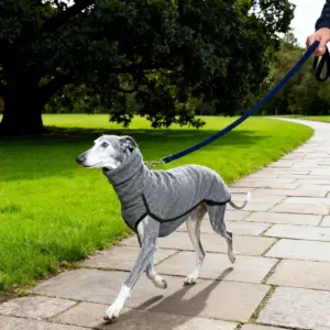 colete de lã para whippet