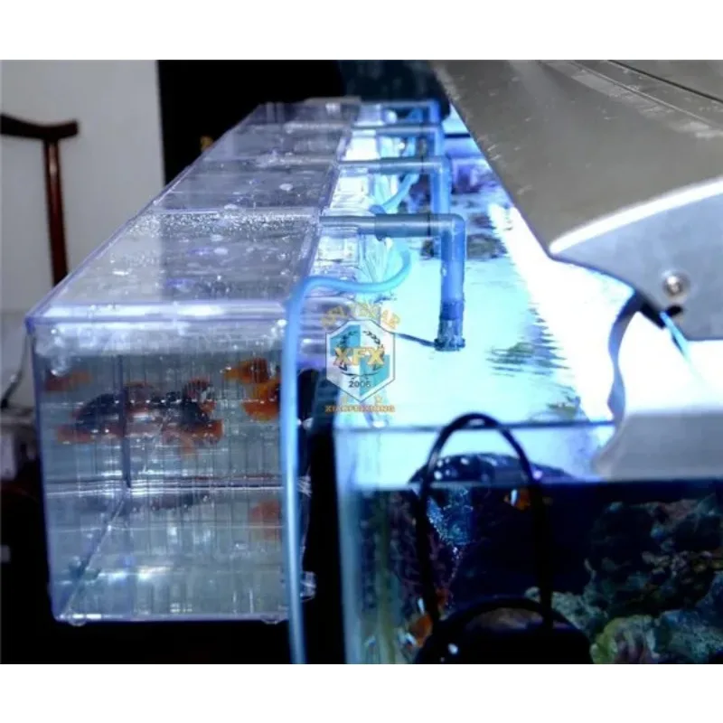 Caixa de Reprodução para Peixes S 1,25L de Acrílico com Autoflotação - Image 3