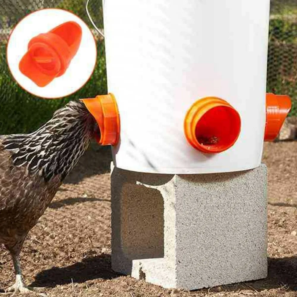 Comedouro Automático por Gravidade para Aves com Capa de Chuva - Imagem 2