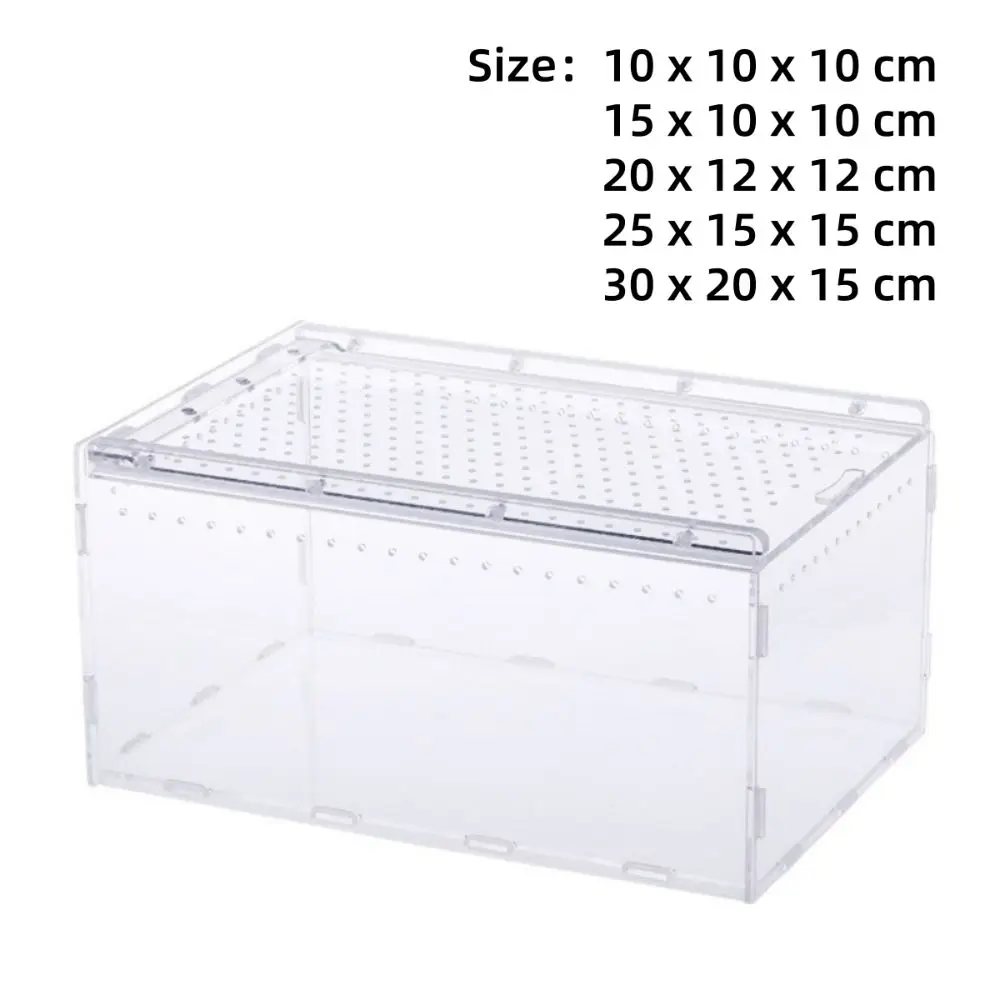 Terrário em Acrílico para Répteis Transparente de 10x10x10 cm - Image 6