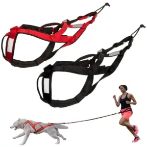 peitoral refletivo para cães grandes
