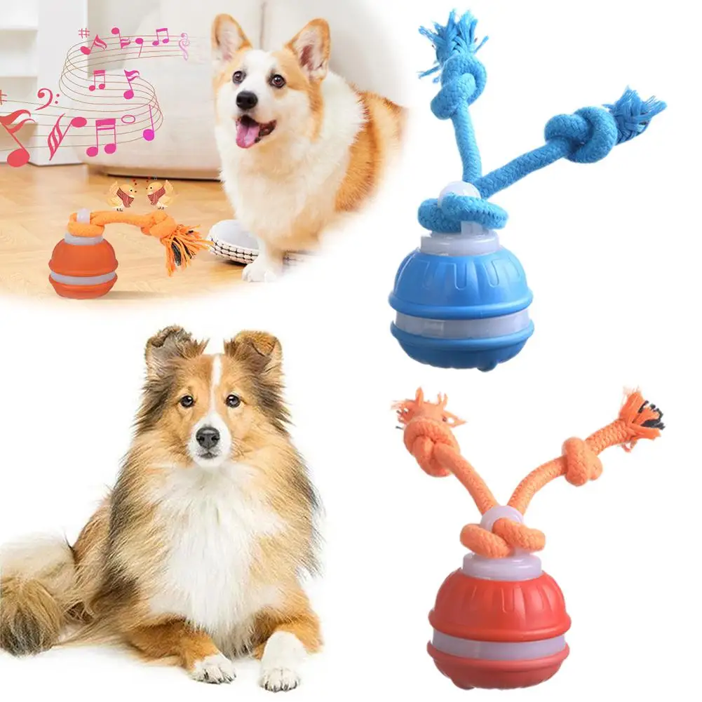 Bola Interativa para Cães Recarregável USB com Detecção de Movimento - Imagem 3