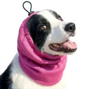bandana refrescante para cães