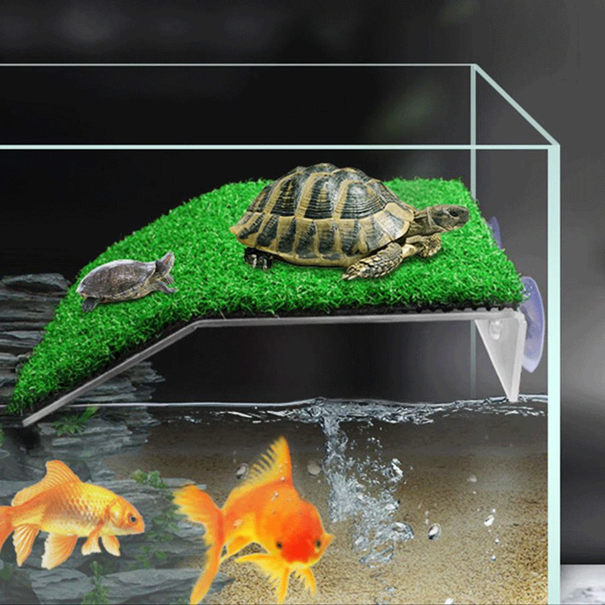 Plataforma para Tartarugas e Répteis com Ventosas Tamanho S - Imagem 2