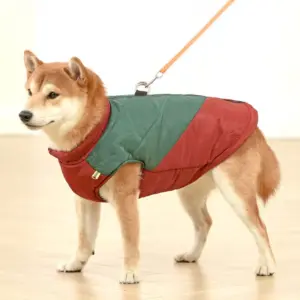 jaqueta impermeável para cães