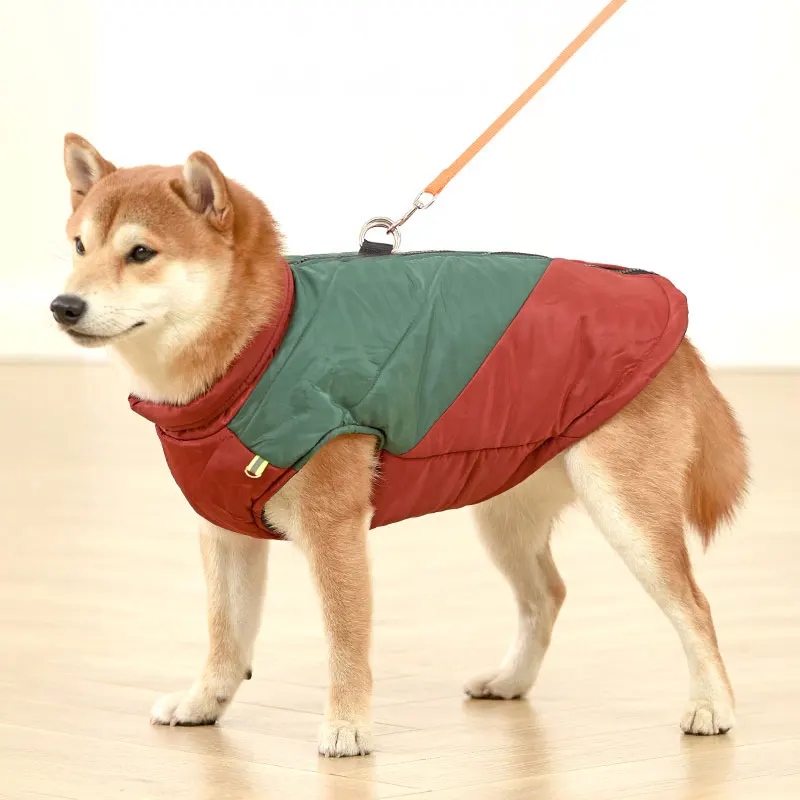 jaqueta impermeável para cães