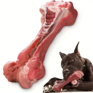 brinquedo de silicone para cães