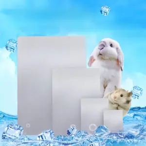 placa de resfriamento para hamster de alumínio