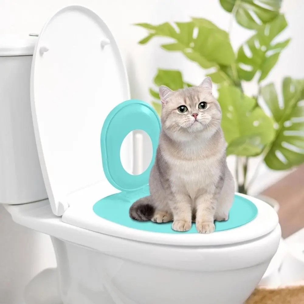 kit treinamento sanitário para gatos