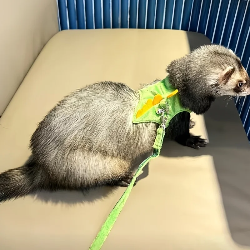 Colete para Furão de Pelúcia Ajustável Formato Dinossauro com Sino - Imagem 5