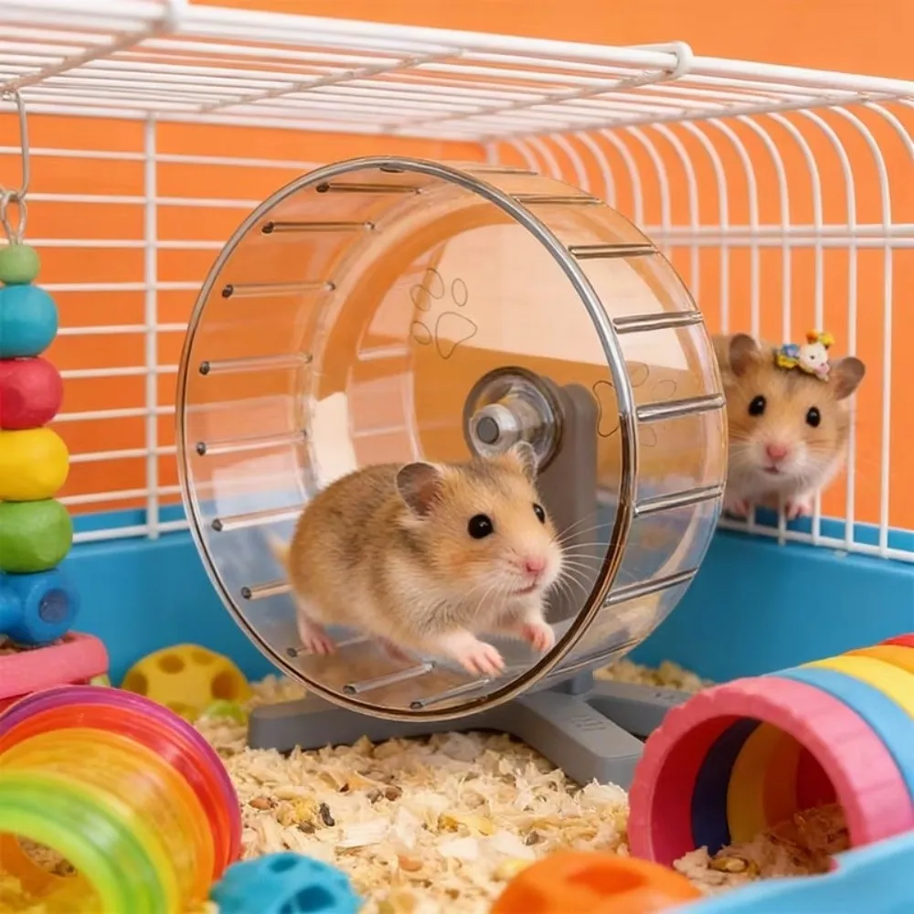 Roda de Exercício para Hamster 12 cm Desmontável Transparente - Image 2