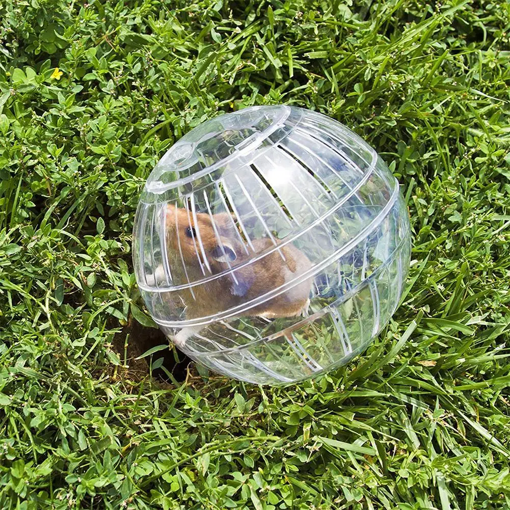 bola de exercício para hamster