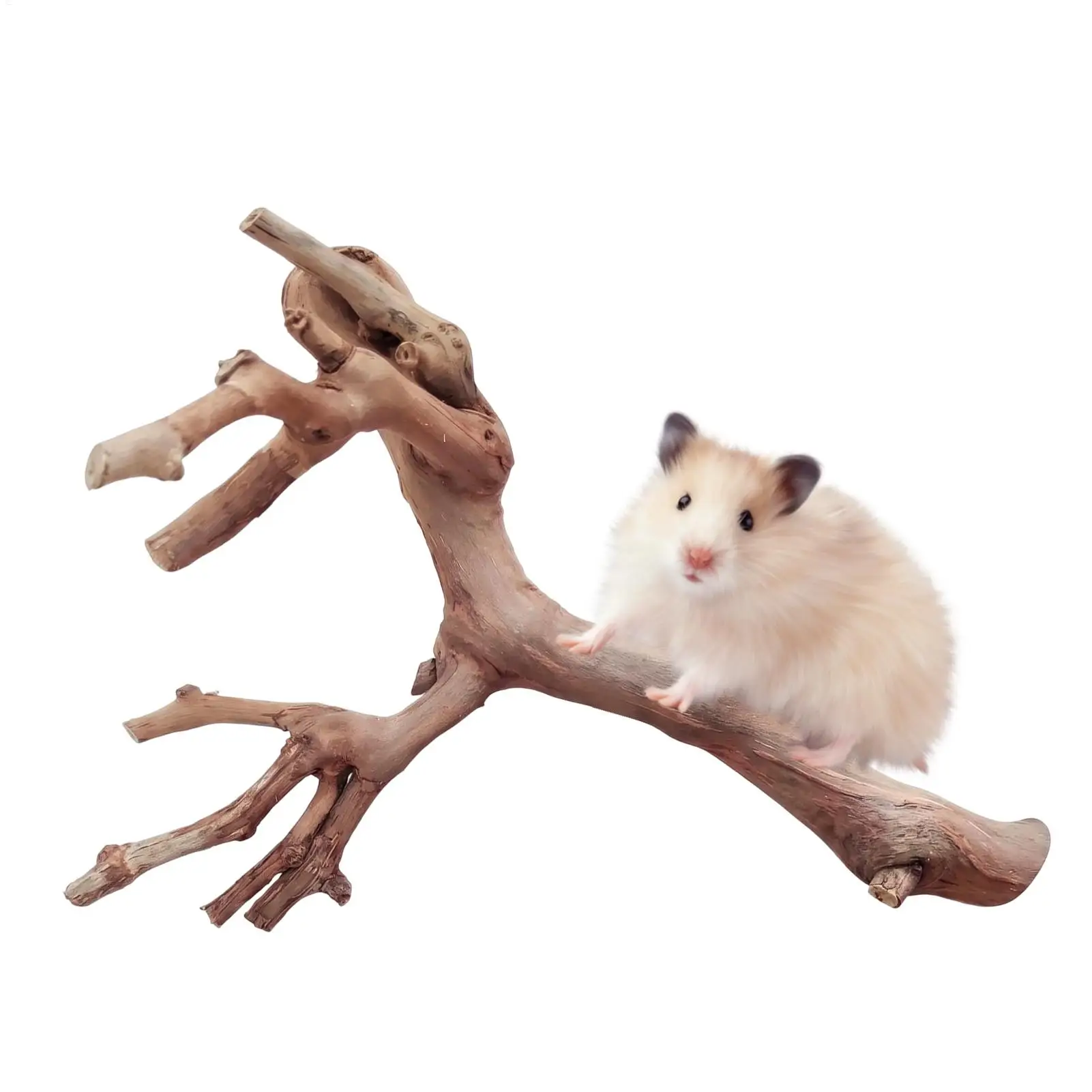 Galhos de Madeira para Hamster e Répteis para Escalar e Roer - Imagem 4