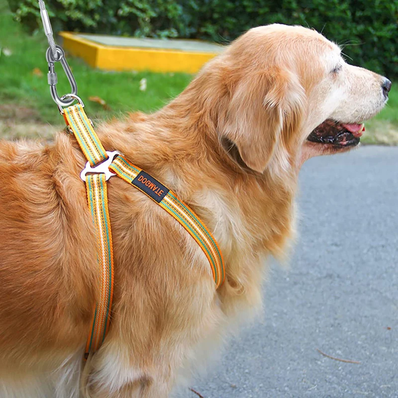 Cabo de Amarração para Cães de Aço Inoxidável 200 cm - Imagem 2